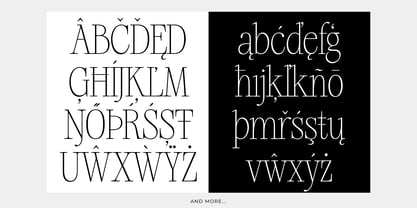 Silver Point Font Poster 8