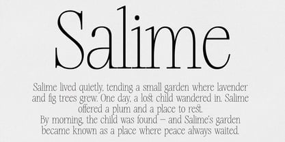 Silver Point Font Poster 11