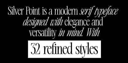 Silver Point Font Poster 5