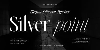 Silver Point Font Poster 1