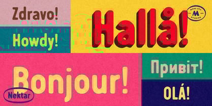 Nektar Font Poster 8