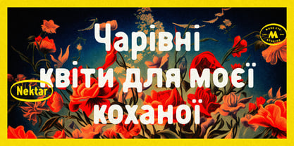 Nektar Font Poster 14