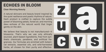 Bio Sans Soft Font Poster 7