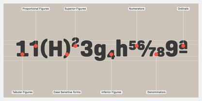 Bio Sans Soft Font Poster 3