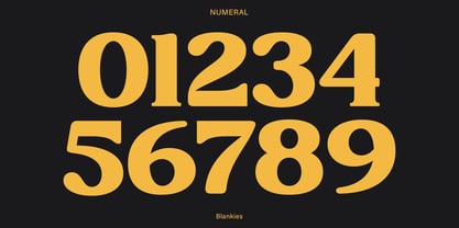 Blankies Font Poster 13