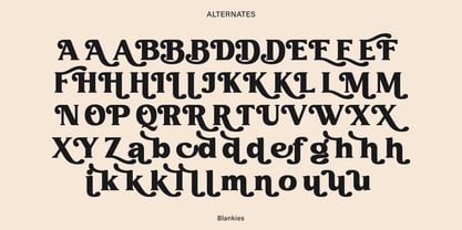 Blankies Font Poster 14