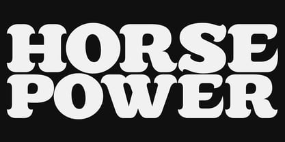 Killernuts Font Poster 8