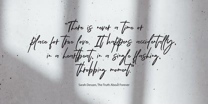 Dienda Brush Font Poster 8