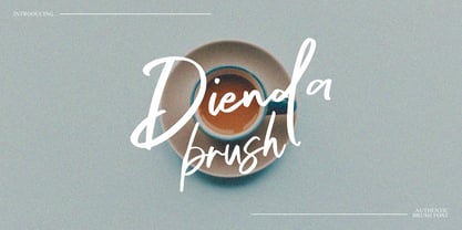Dienda Brush Font Poster 1
