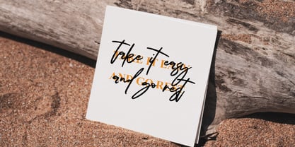 Dienda Brush Font Poster 4