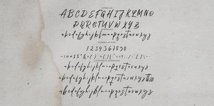 Dienda Brush Font Poster 7