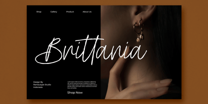 Cethany Font Poster 5