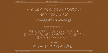 Cethany Font Poster 14