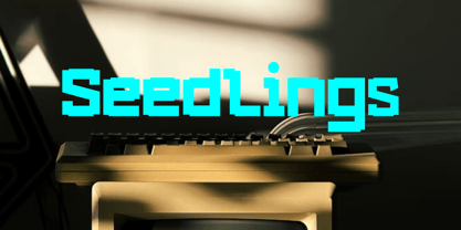 Link Magic Font Poster 14