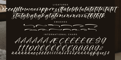 Rednigho Font Poster 8