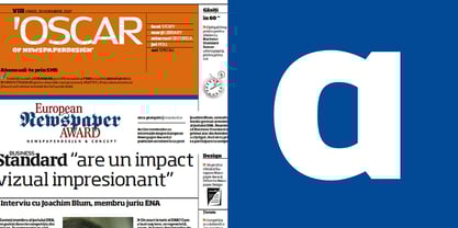 Dynasty Font Poster 5