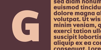 Dynasty Font Poster 2