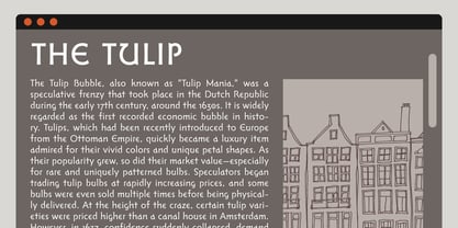 Amsterdam Modern Font Poster 8