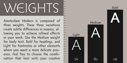 Amsterdam Modern Font Poster 3