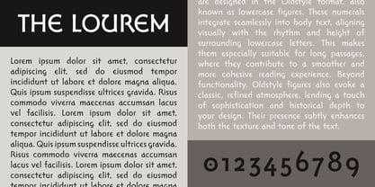 Amsterdam Modern Font Poster 6