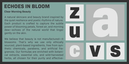 Bio Sans Font Poster 7