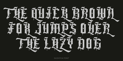 Nushyca Font Poster 14