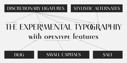 Cotoris Font Poster 7