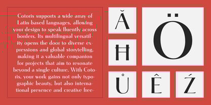 Cotoris Font Poster 6