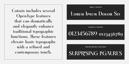 Cotoris Font Poster 4