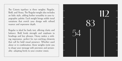 Cotoris Font Poster 5