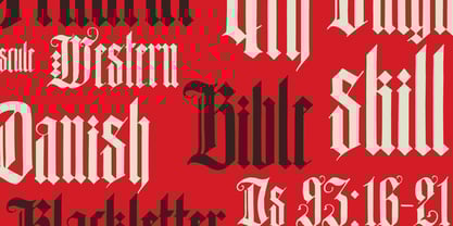 Durers Woodcut Font Poster 12