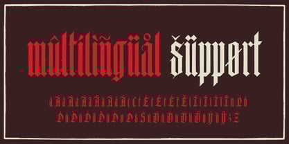 Durers Woodcut Font Poster 5