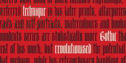 Durers Woodcut Font Poster 3