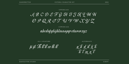 Fisterya Font Poster 14