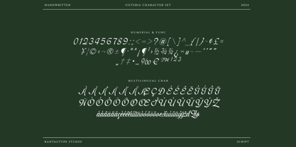 Fisterya Font Poster 15