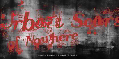 Jaguarundi Font Poster 9