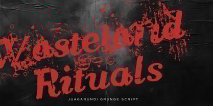 Jaguarundi Font Poster 8