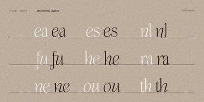 Enlighten Liebethia Pro Font Poster 11