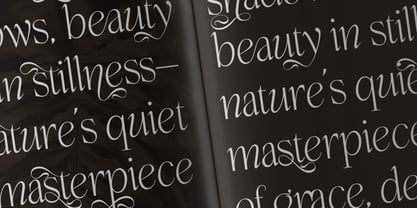 Enlighten Liebethia Pro Font Poster 9