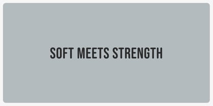 Bebas Neue Rounded Font Poster 3