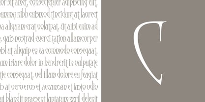 Moonstone Font Poster 3