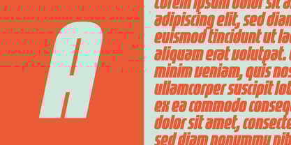 Freeman Font Poster 4