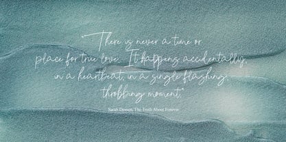 Epilea Signature Font Poster 8