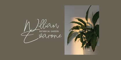 Epilea Signature Font Poster 3