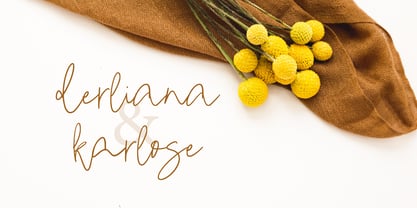 Epilea Signature Font Poster 6