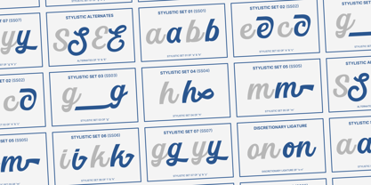 MN Managa Script Font Poster 8