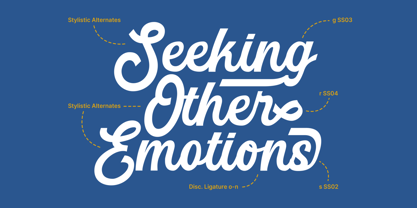 MN Managa Script Font Poster 9