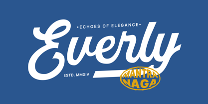 MN Managa Script Font Poster 5