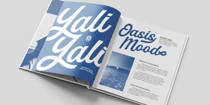 MN Managa Script Font Poster 13