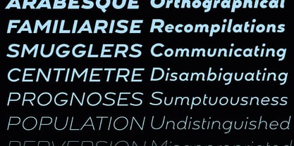 Aurore Grotesque Font Poster 7